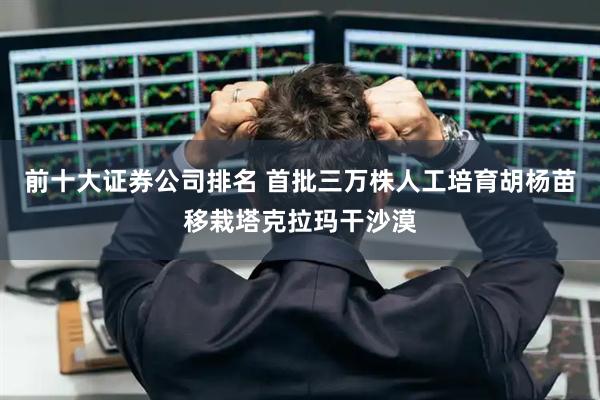 前十大证券公司排名 首批三万株人工培育胡杨苗移栽塔克拉玛干沙漠