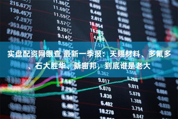 实盘配资网眼查 最新一季报：天赐材料、多氟多、石大胜华、新宙邦，到底谁是老大